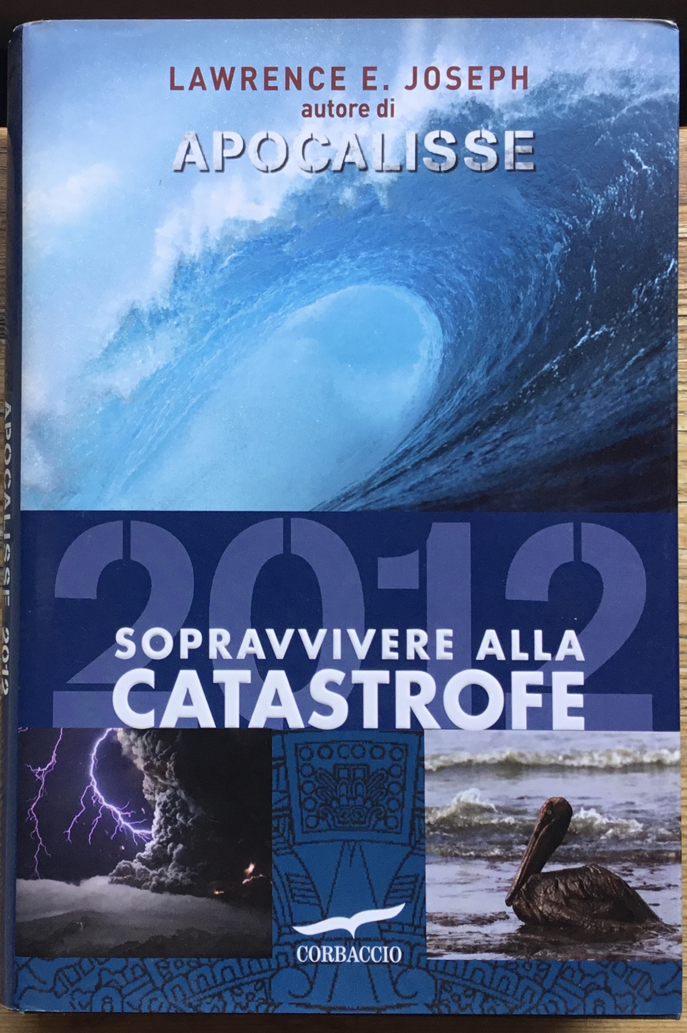 2012 sopravvivere alla catastrofe.