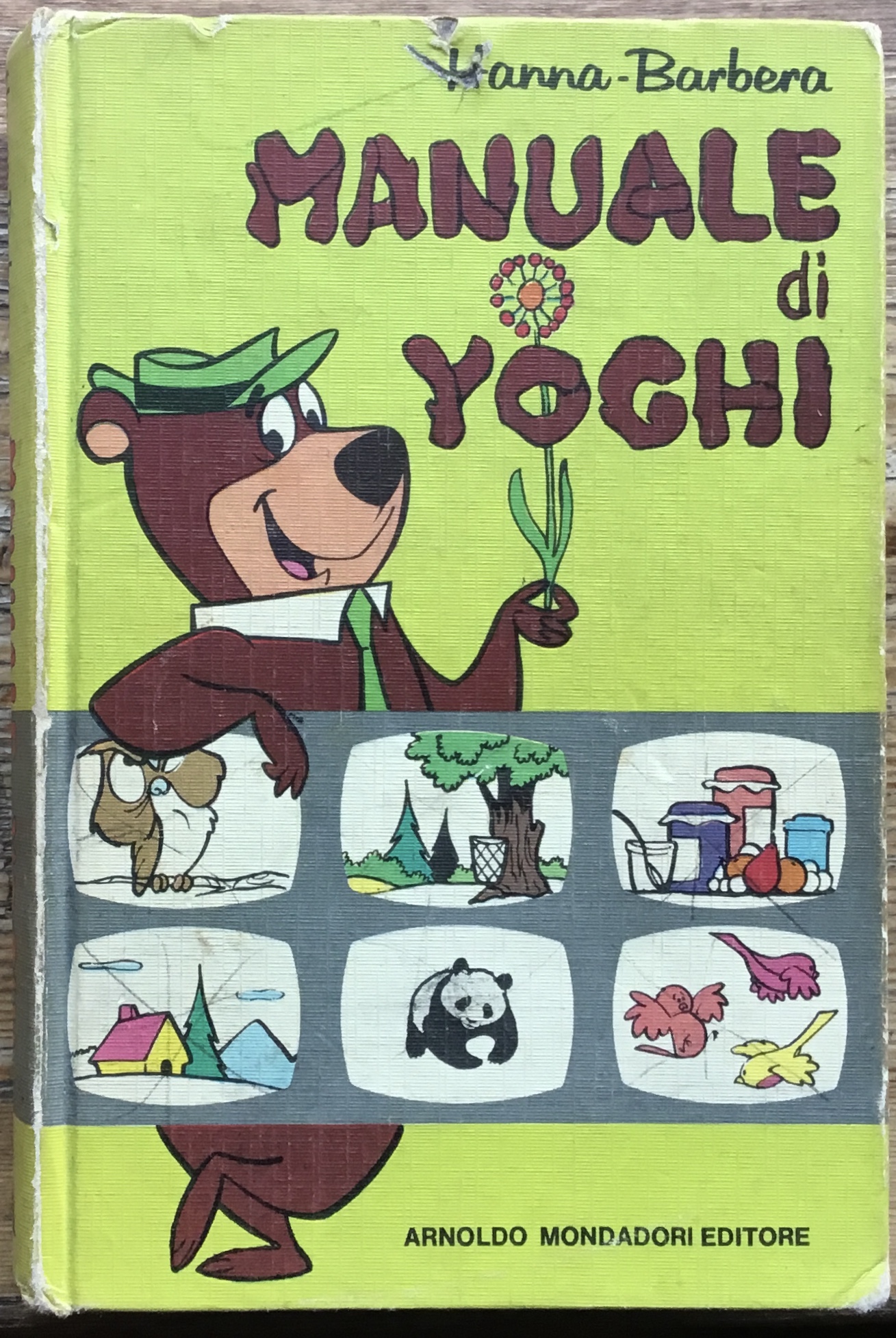 Manuale di Yoghi