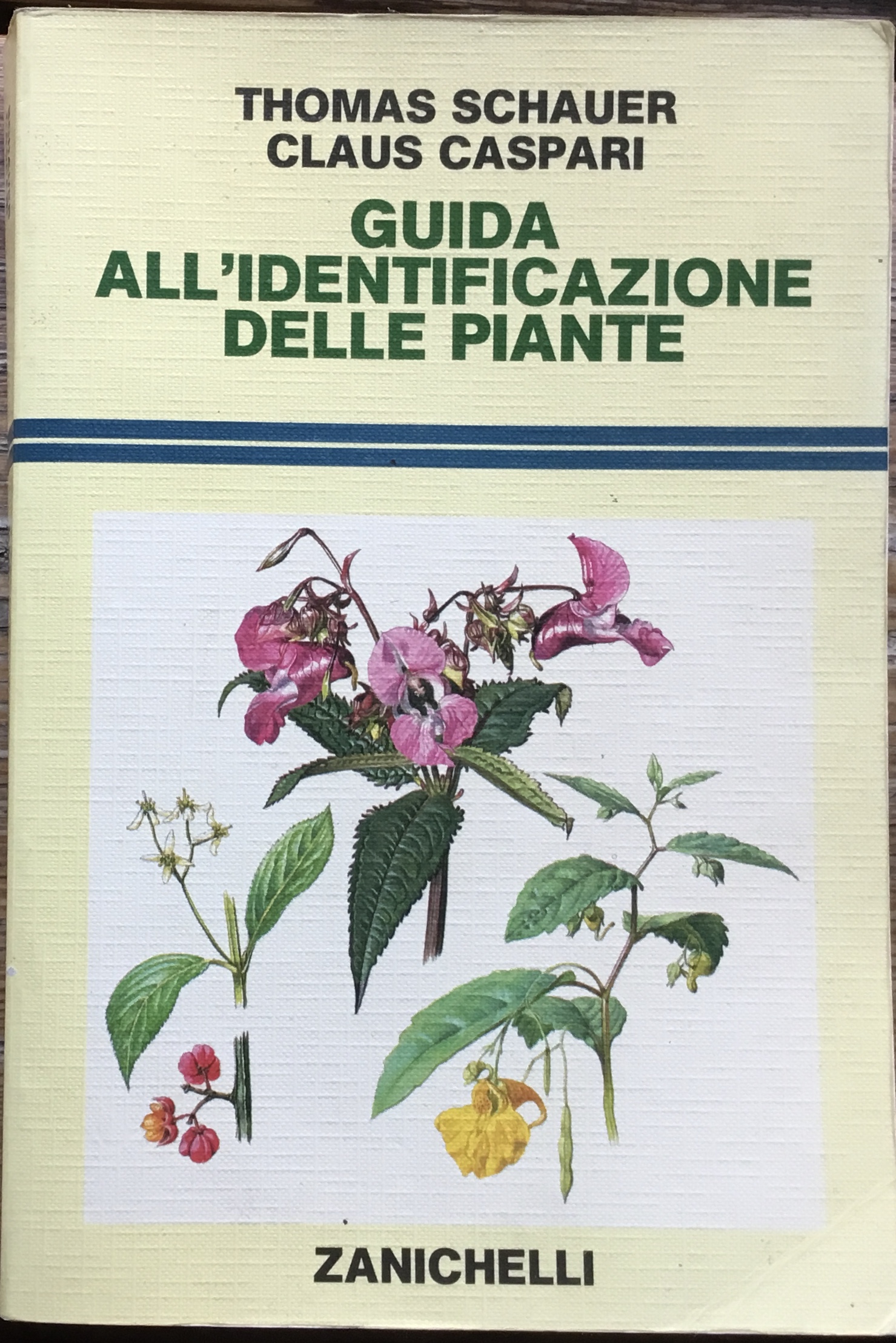Guida all’identificazione delle piante.