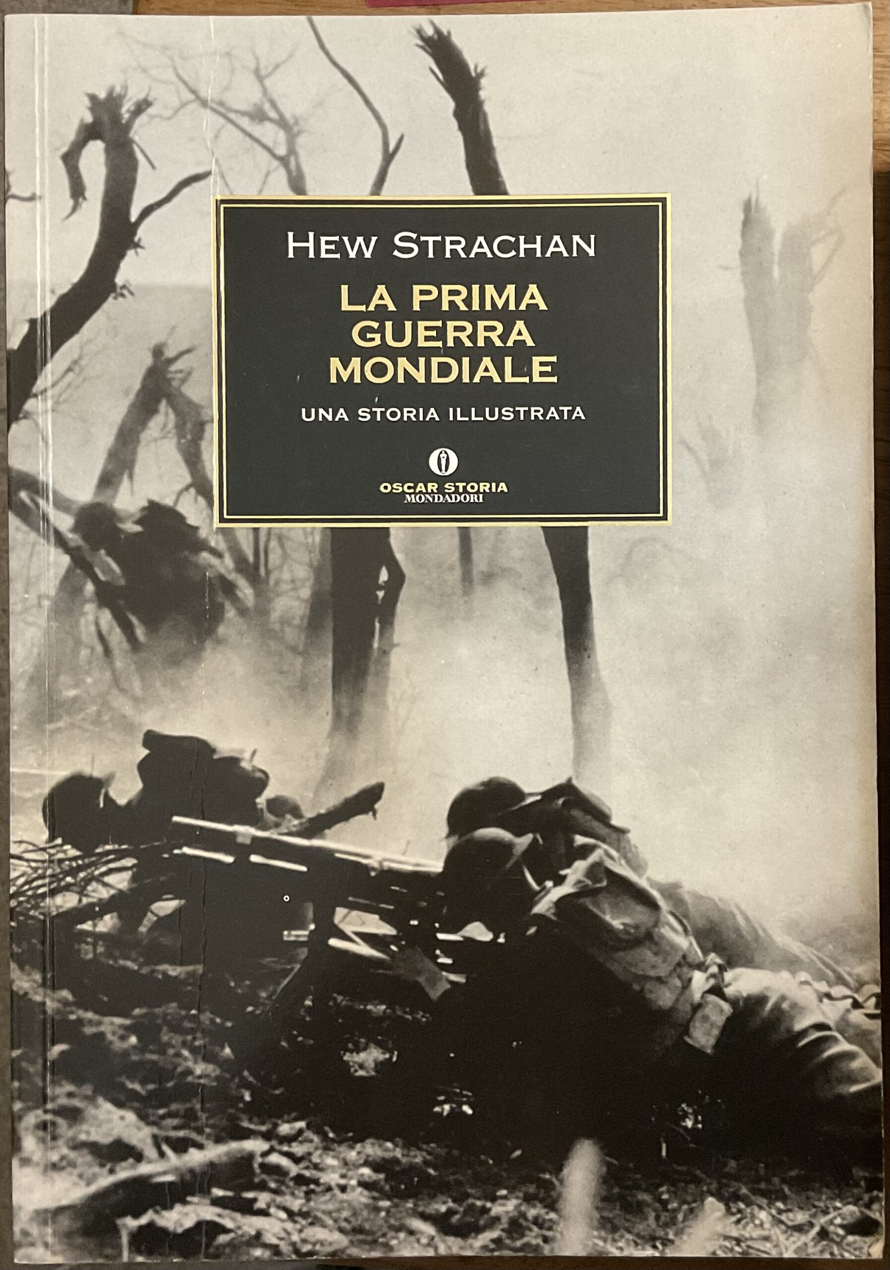 La Prima Guerra mondiale. Una storia illustrata