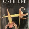 Orchidee