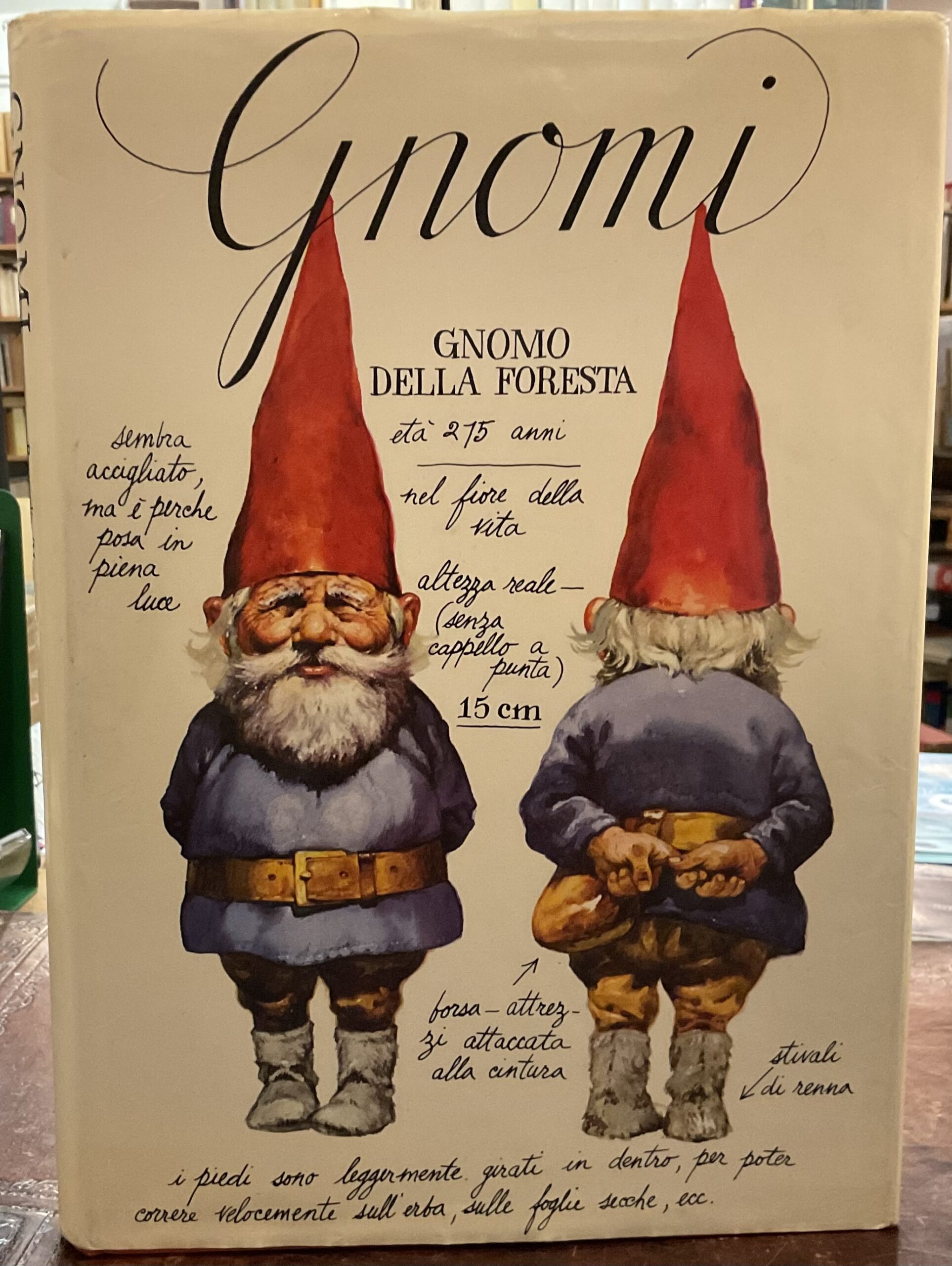 Gnomi